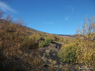 llone monte Zappinazzo-04-11-2012 10-06-58